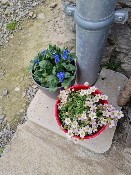 Appartement De La Laiterie Avec Petit Jardin. Eysus 외부 사진